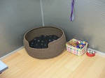 2012-12-20 11.46.00.jpg
